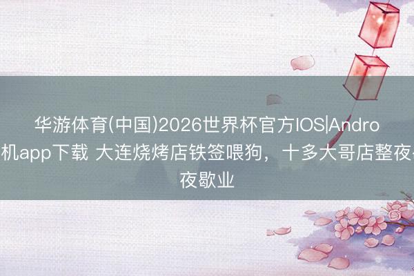 华游体育(中国)2026世界杯官方IOS|Android手机app下载 大连烧烤店铁签喂狗，十多大哥店整夜歇业