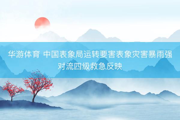 华游体育 中国表象局运转要害表象灾害暴雨强对流四级救急反映