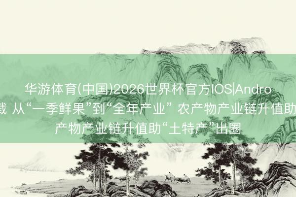华游体育(中国)2026世界杯官方IOS|Android手机app下载 从“一季鲜果”到“全年产业” 农产物产业链升值助“土特产”出圈