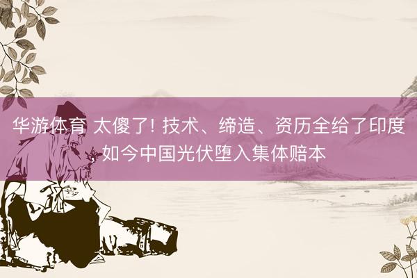 华游体育 太傻了! 技术、缔造、资历全给了印度, 如今中国光伏堕入集体赔本