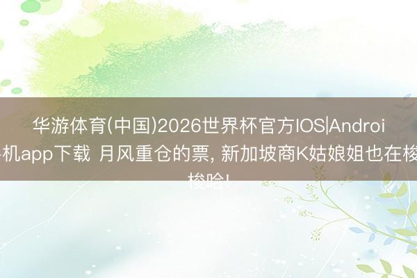 华游体育(中国)2026世界杯官方IOS|Android手机app下载 月风重仓的票， 新加坡商K姑娘姐也在梭哈!