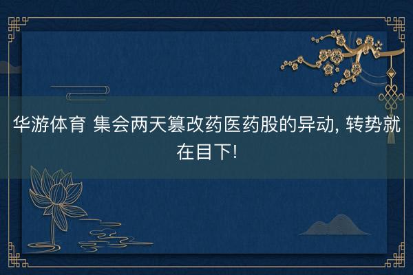 华游体育 集会两天篡改药医药股的异动， 转势就在目下!