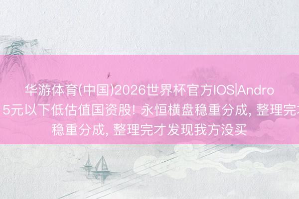 华游体育(中国)2026世界杯官方IOS|Android手机app下载 5元以下低估值国资股! 永恒横盘稳重分成， 整理完才发现我方没买