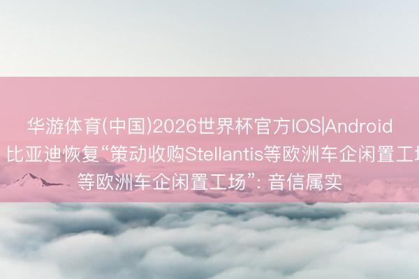华游体育(中国)2026世界杯官方IOS|Android手机app下载 比亚迪恢复“策动收购Stellantis等欧洲车企闲置工场”: 音信属实