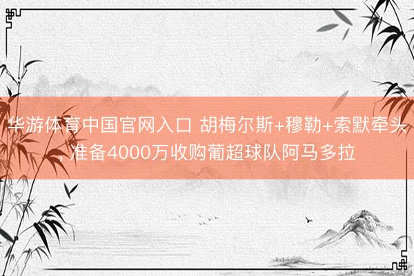 华游体育中国官网入口 胡梅尔斯+穆勒+索默牵头， 准备4000万收购葡超球队阿马多拉