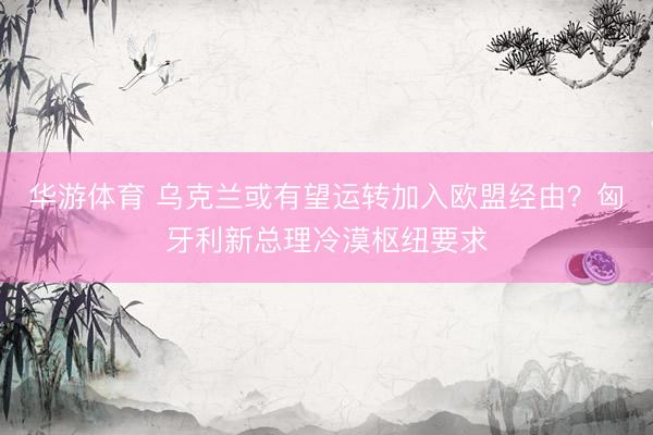 华游体育 乌克兰或有望运转加入欧盟经由？匈牙利新总理冷漠枢纽要求