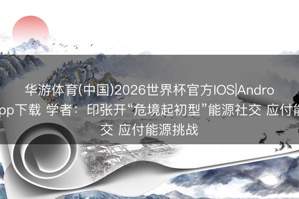 华游体育(中国)2026世界杯官方IOS|Android手机app下载 学者：印张开“危境起初型”能源社交 应付能源挑战