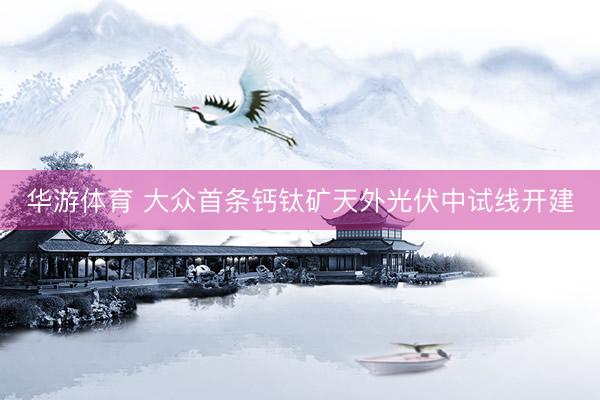 华游体育 大众首条钙钛矿天外光伏中试线开建