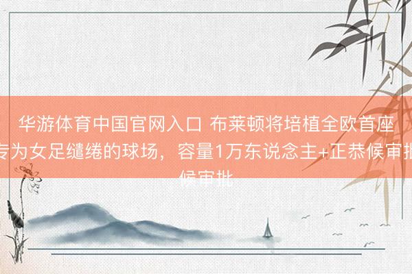 华游体育中国官网入口 布莱顿将培植全欧首座专为女足缱绻的球场，容量1万东说念主+正恭候审批